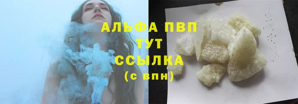 гидра Алексин