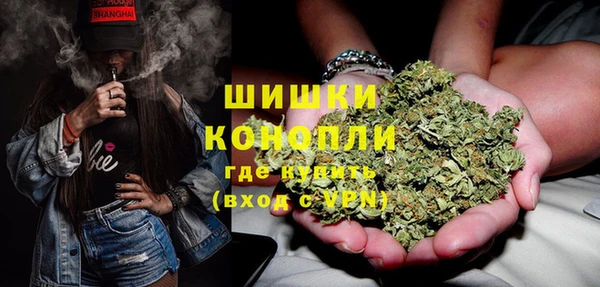 трава Алзамай