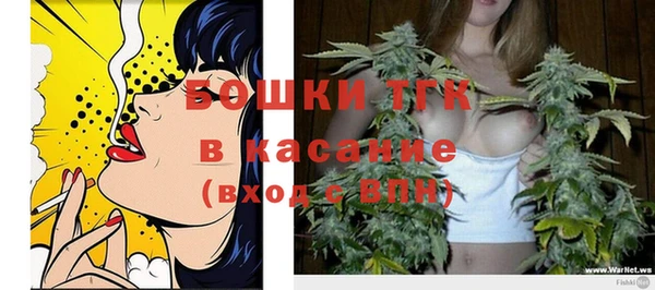 гидра Алексин