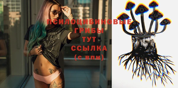 твердый Алексеевка