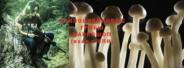 трава Алзамай