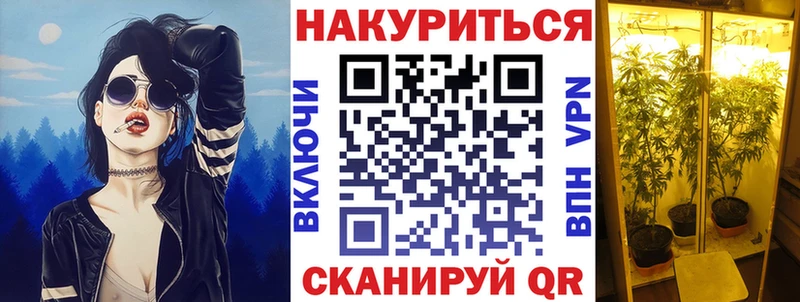 Канабис сатива  Анжеро-Судженск 
